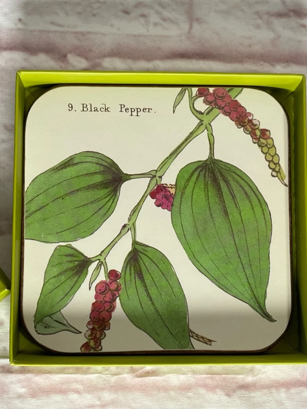 WILLIAMS-SONOMA COASTERS